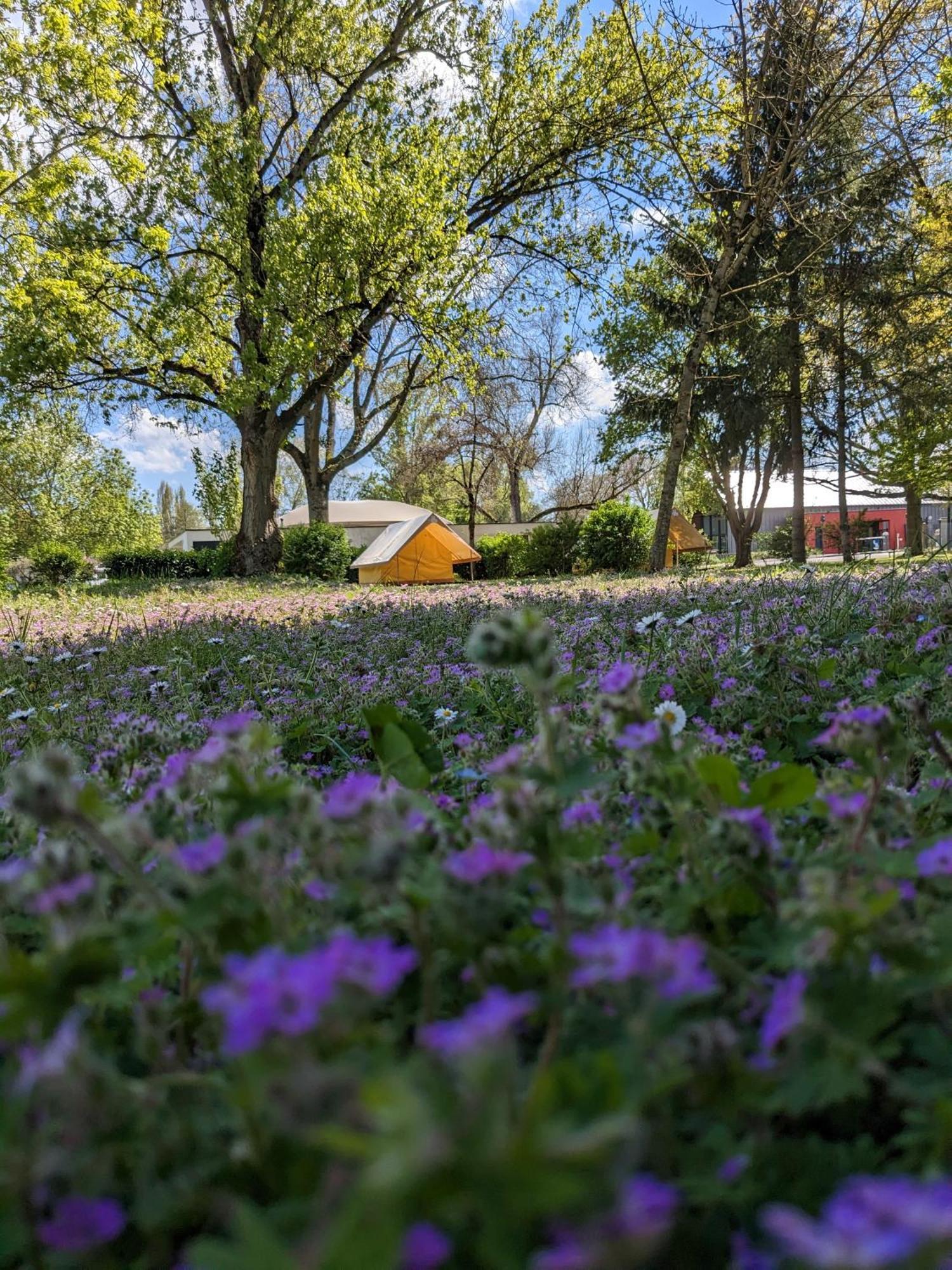 Camping Onlycamp Tours Val De Loire Сант-Авертан Екстериор снимка